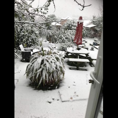 Gwynarth Guest House Wadebridge Bagian luar foto